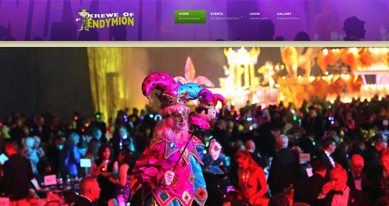 endymion website design image