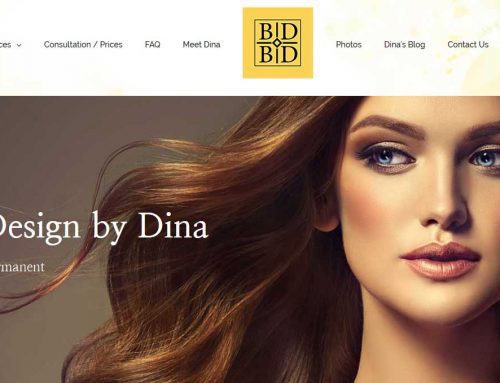 Brow Design by Dina